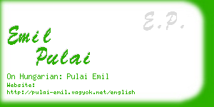 emil pulai business card